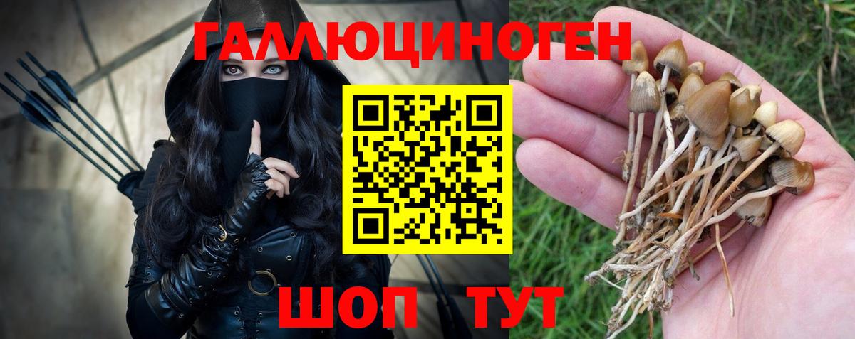 Псилоцибиновые грибы MAGIC MUSHROOMS Мариинск